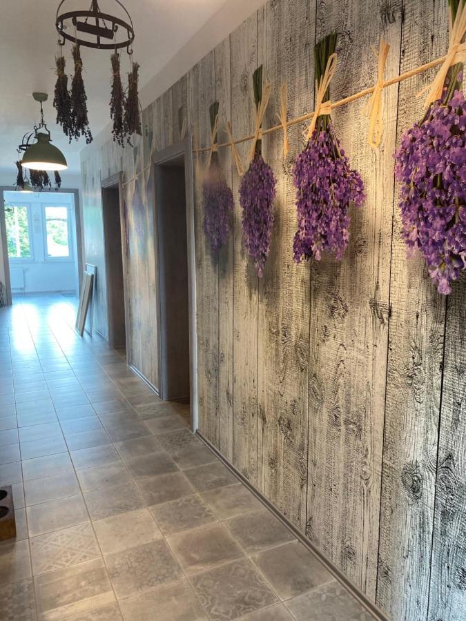 La Maison Pritzwalk - Bett & Bike Dış mekan fotoğraf